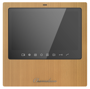 #19 Model T Brass Type 1